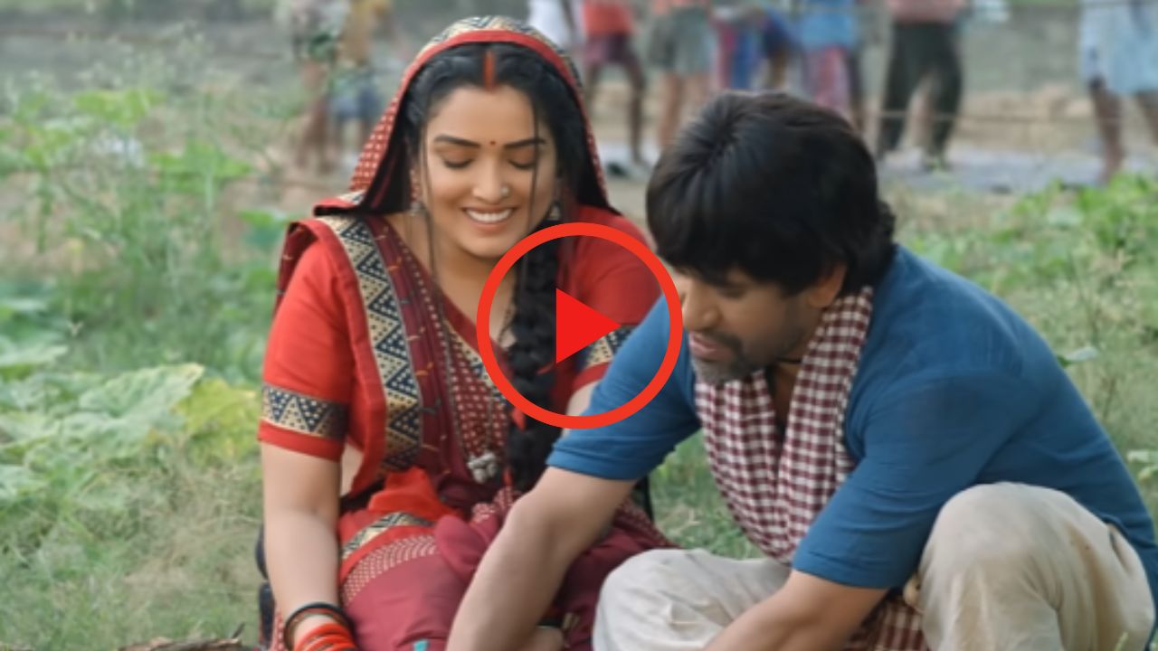 Bhojpuri Song: निरहुआ और आम्रपाली दुबे का रोमांटिक गाना 'मैरून कलर साड़ियां' मचा रहा धमाल!